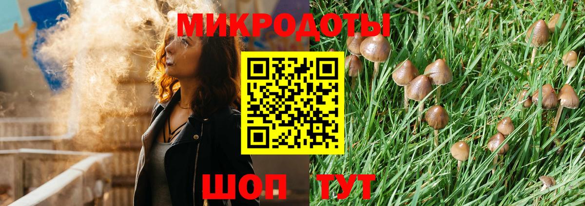 Галлюциногенные грибы Magic Shrooms  где можно купить наркотик  Свободный  Псилоцибиновые грибы ЛСД  Вход с VPN 