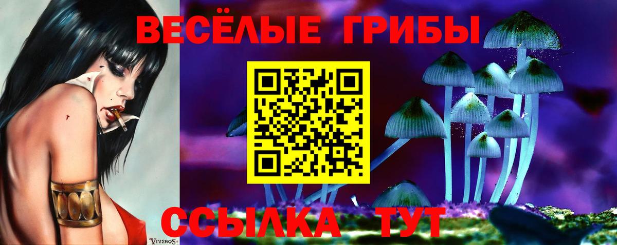 Псилоцибиновые грибы Magic Shrooms Свободный
